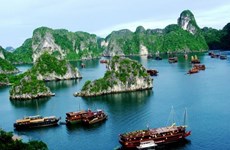 越南开展导游员星级评定活动  