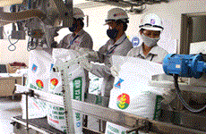 东南亚是越南化肥的最大出口市场