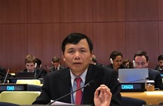 越南参加第73届联合国大会法律委员会会议