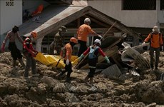 印尼地震和海啸：伤亡人数仍在上升中
