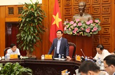 王廷惠副总理：胡志明市应大力推进国有企业股份制转化进程