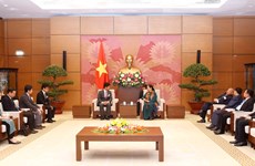 越南国会常务副主席丛氏放会见日本医疗专家团