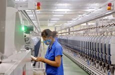 Vitas 与WWF合作推动越南纺织服装行业绿色发展