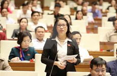 越南第十四届国会第六次会议：质询活动进入最后一天