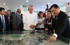古巴国务委员会主席兼部长会议主席迪亚斯-卡内尔参观了解胡志明市高科技园区模式