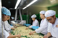 越南农林水产品远销世界200个国家和地区