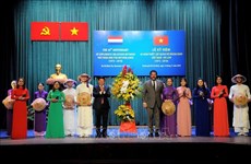 越南与荷兰建交45周年纪念典礼在胡志明市举行