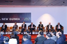 2018年APEC峰会：阮春福总理开始APEC峰会相关活动  