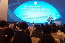 2018年胡志明市经济论坛拉开序幕