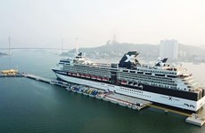 广宁省鸿基国际客运港迎接首个国际游轮