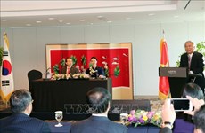 国会主席阮氏金银与越韩多元文化家庭代表会面