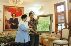 越南与印尼同意在2019-2023年行动计划中保持协调联动