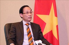 越南外交部副部长：越南为促进国际贸易法逐步协调和统一做出贡献