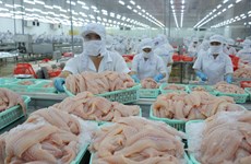 美国取代中国香港成为进口越南查鱼的最大市场