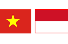 庆祝越南与印度尼西亚建交63周年音乐晚会在河内举行