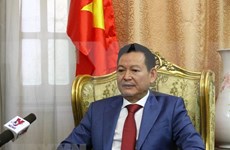 造成三名越南游客死亡的埃及爆炸袭击事件：越南驻埃及大使提供进一步的消息 