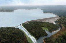 越南就降低老挝巴莱水电项目的负面影响进行国家级咨询会