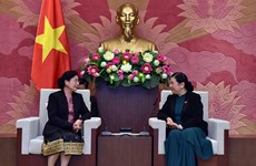 越南国会常务副主席丛氏放会见老挝审计署审计长万通·西潘敦