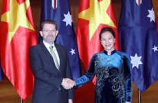 越南国会主席阮氏金银与澳大利亚参议院议长瑞安举行会谈