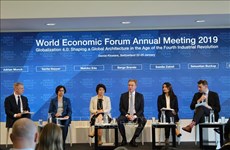 世界经济论坛2019年年会：国际专家高度评价越南的作用
