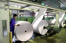越南纸制品总公司努力实现2019年营业收入达2.6万亿越盾的目标