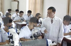 越南多措并举提高大学教育培训质量