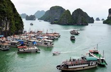 外国旅游专网赞扬越南无穷魅力