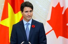 加拿大总理贾斯廷·特鲁多致信越侨社群拜年