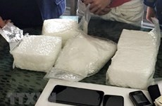 清化省：破获一起从老挝贩运到越南的毒品案