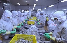 越南力争2019年虾类出口创汇40亿美元
