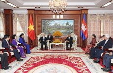 阮富仲会见柬埔寨参议院议长赛冲和国会主席韩桑林