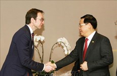 王廷惠副总理：越南政府支持MDCR和OECD报告的制定