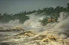 越南作品在中国广州“台风委员会区域天气和气候”摄影比赛中荣获一等奖