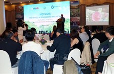 越南森林与平原项目第三期工作将在越南四省份实施