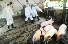 农业与农村发展部就非洲猪瘟疫情防控工作召开紧急会议