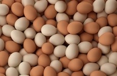 越南公布盐和禽蛋的进口关税配额