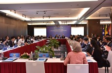 东盟地区论坛海洋安全中期工作组第十一次会议圆满结束