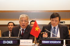 越南呼吁国际社会携手解决战争遗留问题