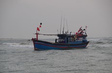 海上遇险的载有22名渔民的3艘渔船获救