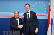 越南驻荷兰大使吴氏和：越荷两国关系将升级为全面伙伴关系