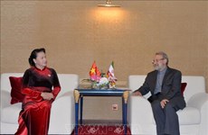 越南国会主席阮氏金银会见伊朗伊斯兰共和国议会议长阿里•拉里贾尼