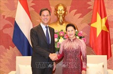 越南国会主席阮氏金银会见荷兰首相马克·吕特