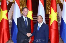  越南与荷兰发表联合声明 将两国关系提升至全面伙伴关系