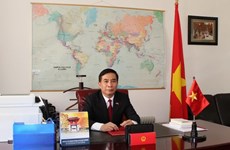 越南驻罗马尼亚大使邓陈风：越南政府总理阮春福访罗为提升越南与罗马尼亚合作水平注入新动力