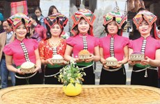 保护越南少数民族传统服装
