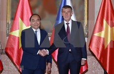 促进传统关系 为越南与欧洲国家的合作注入动力