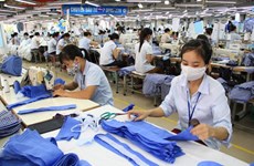 越南纺织企业提高贸易促进水平  迎来EVFTA的发展机遇