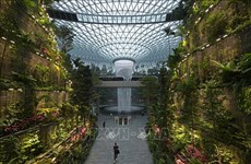 新加坡规模最大的室内花园--星耀樟宜机场投运