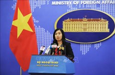 外交部发言人：越共中央总书记、国家主席将早日恢复健康并回到正常工作