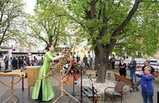 “越南文化月”活动在捷克举行